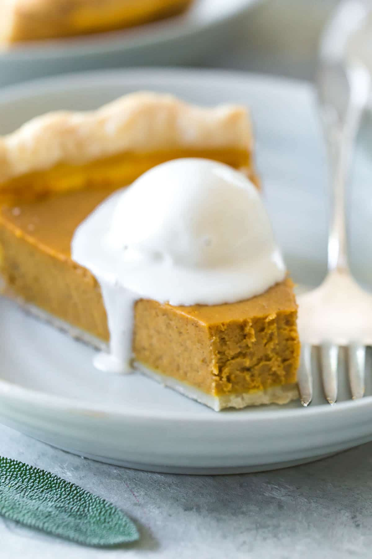 Best Ideas Dairy Free Pumpkin Pie How To Make Perfect Recipes