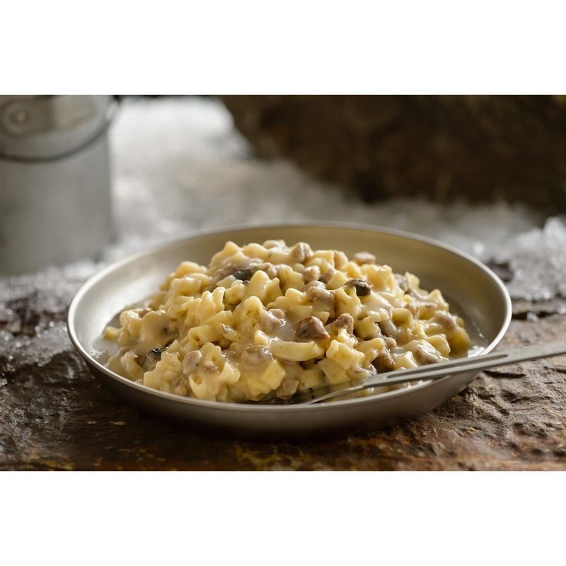Mountain House Beef Stroganoff with Noodles Best Of Mountain House Beef Stroganoff Noodles Freeze Dried Meal