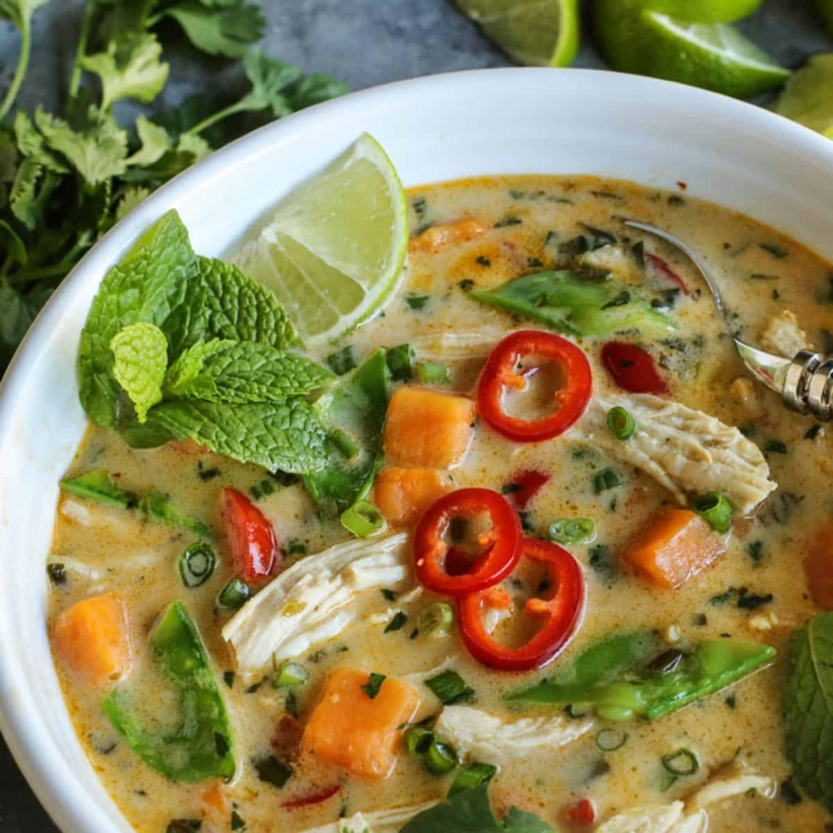 Thai Chicken soup Recipe Fresh Thai Chicken soup • Easy Thai soup • A Farmgirl S Dabbles