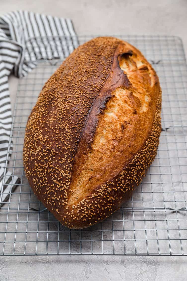 Baking Italian Bread Luxury Italian Bread Recipe Recipe