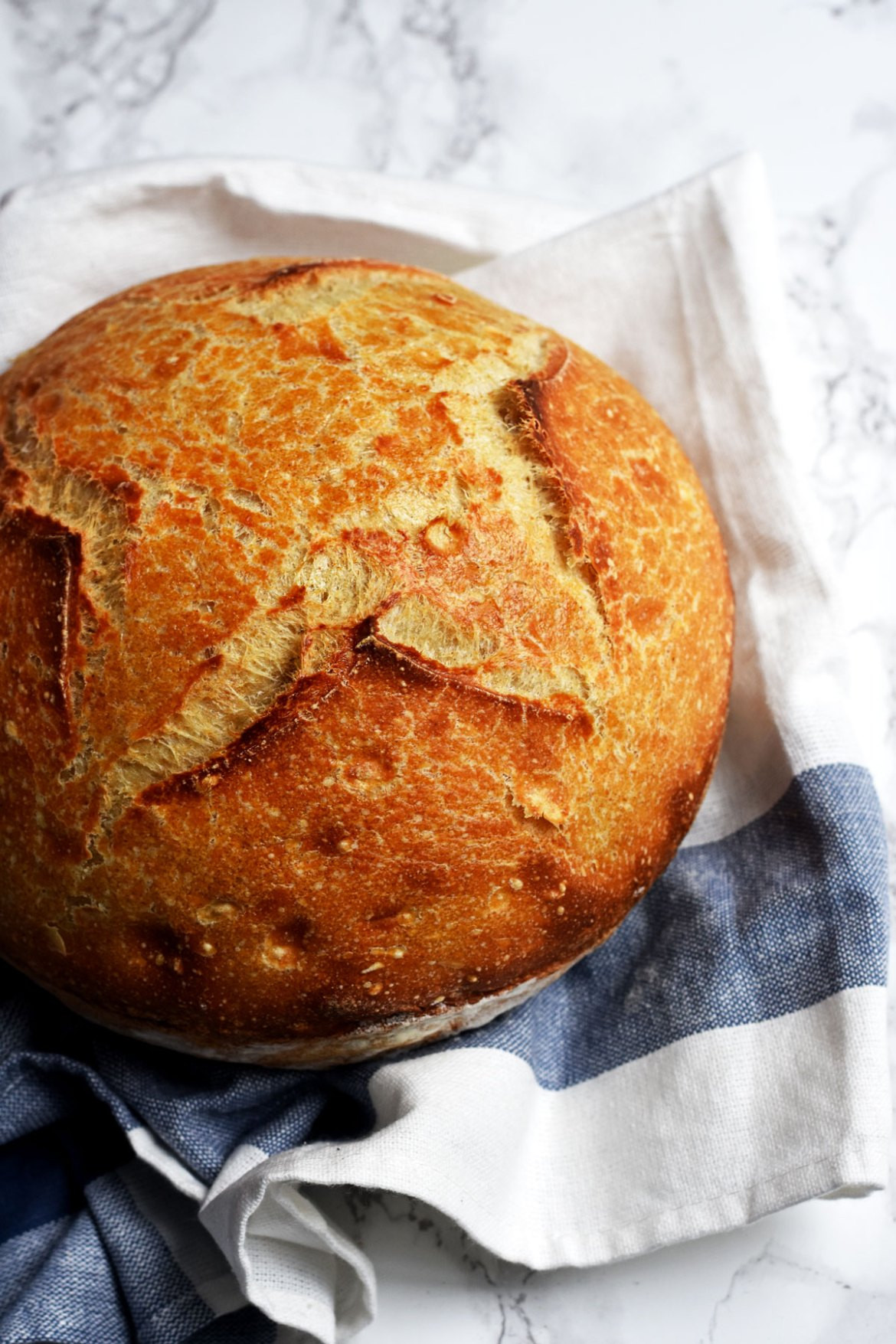 Boule Bread Recipe New Classic French Boule Bread In Dutch Oven Pardon Your French