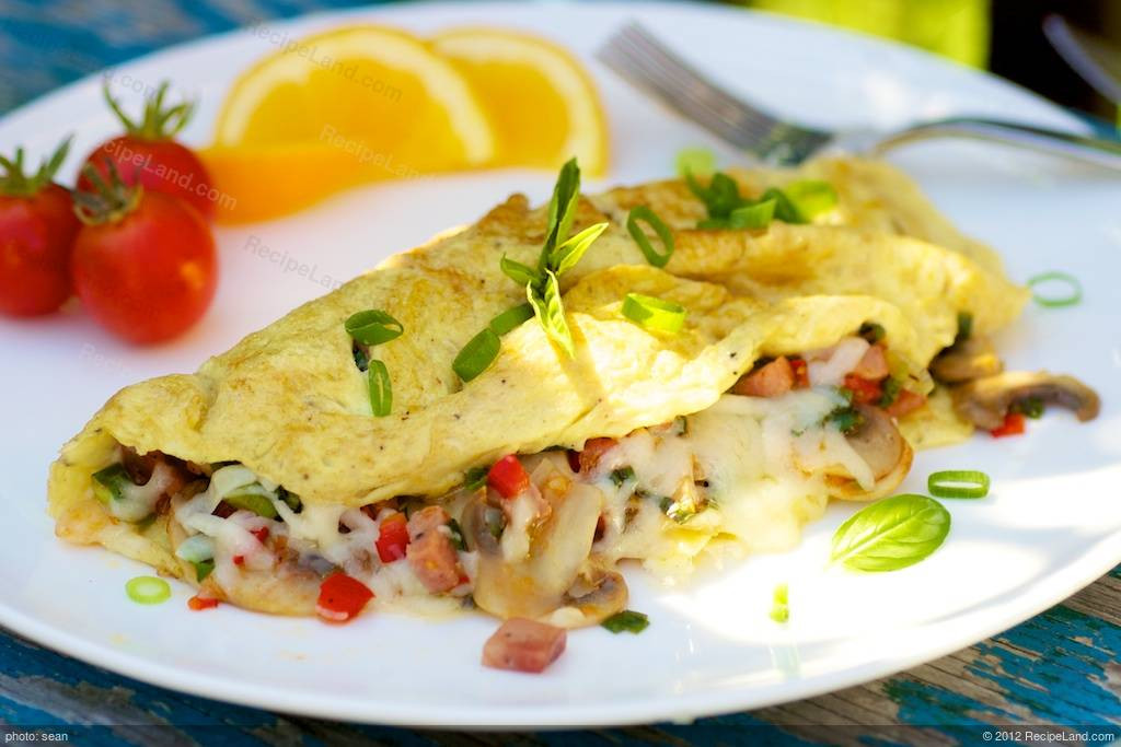 Breakfast Omelette Recipe Elegant Low Fat Breakfast Omelet Recipe