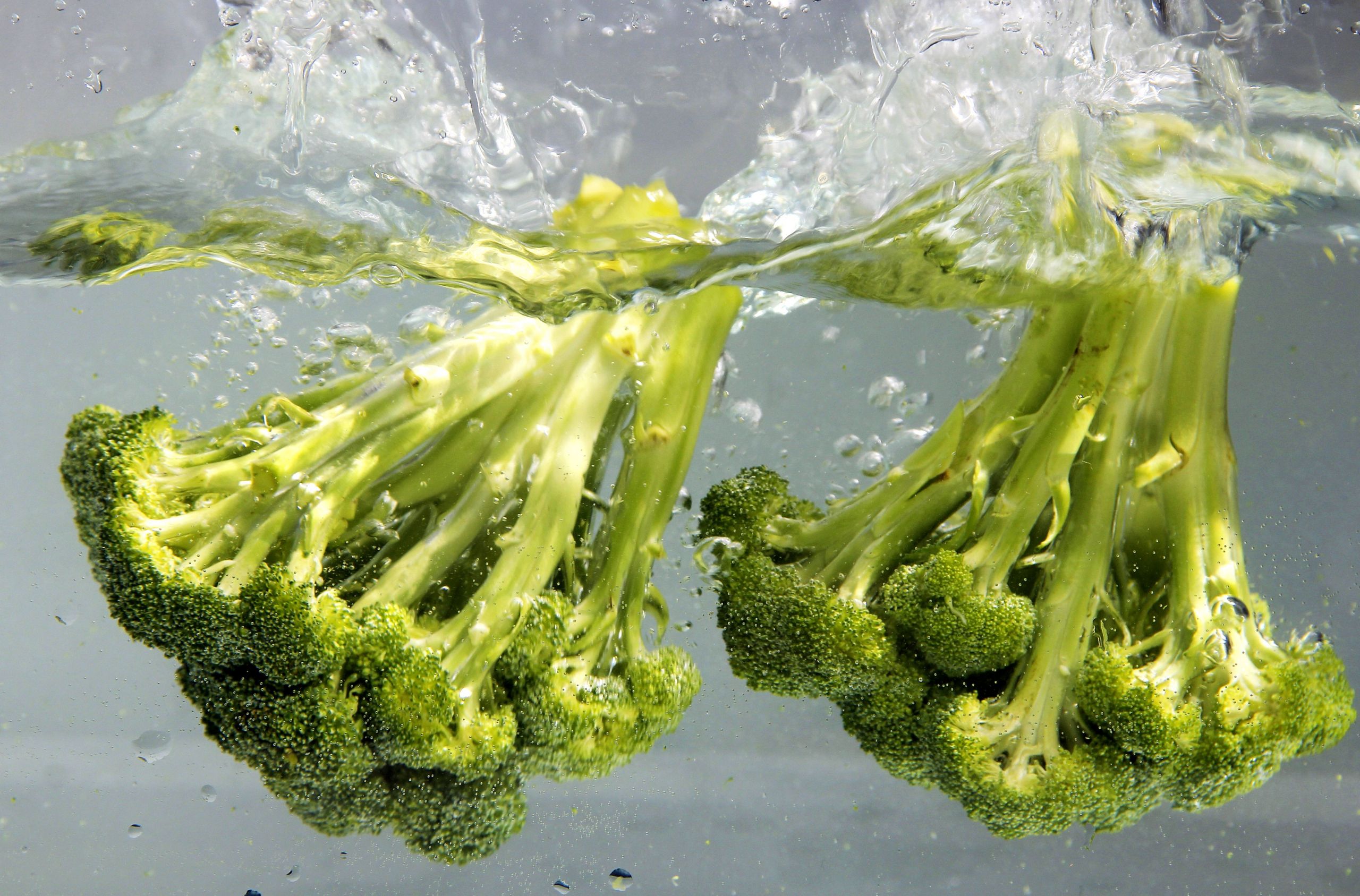 Broccoli Dietary Fiber Awesome Free Picture Broccoli Terrific source Vitamins Well