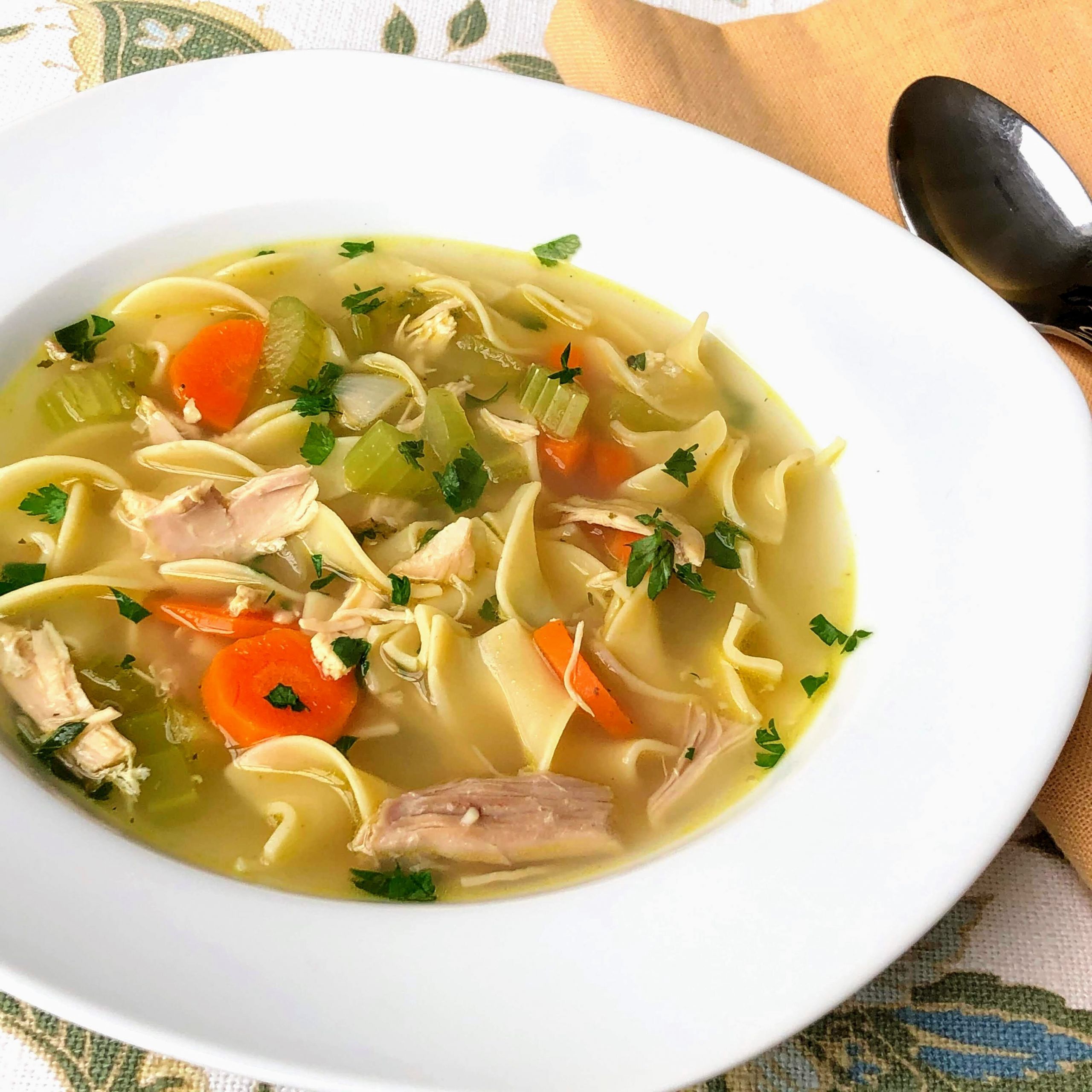 Chicken Egg Noodles soup Inspirational Chicken Noodle soup with Egg Noodles Recipe