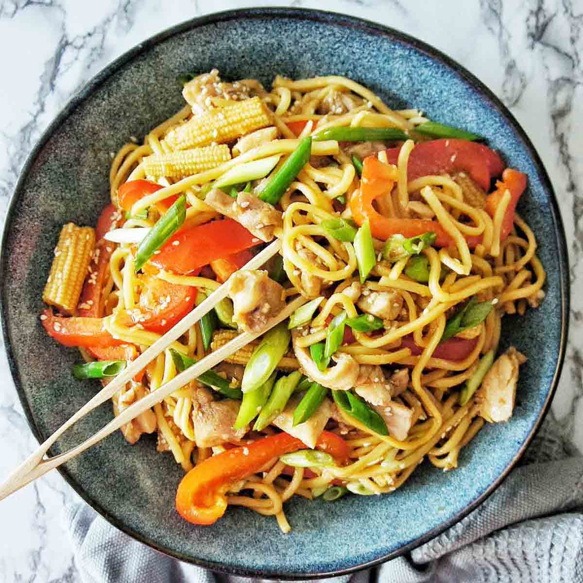 Chicken Stir Fry Noodles New Chicken Noodle Stir Fry