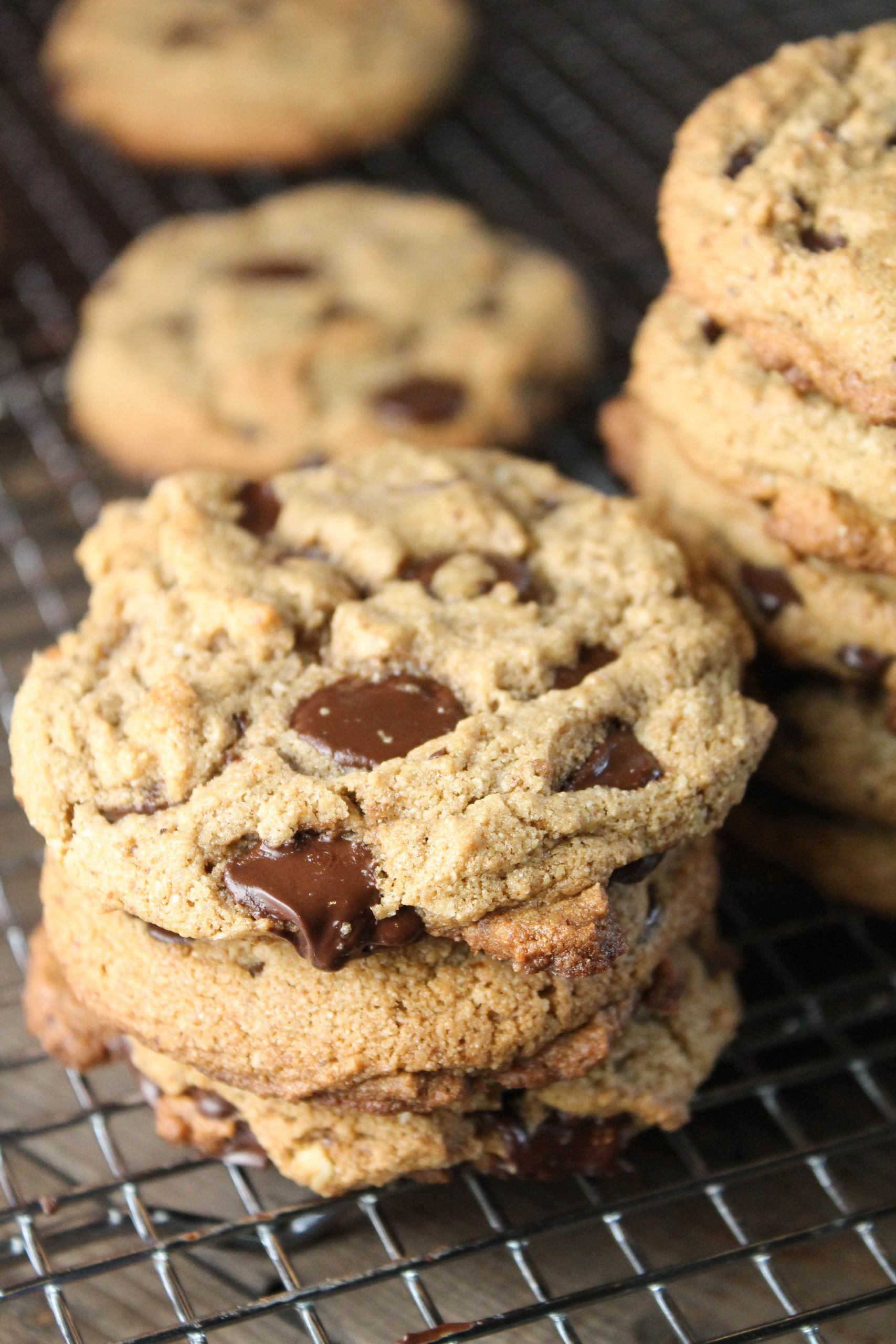 Cookies with Chocolate On top Awesome the Best Paleo Chocolate Chip Cookie Chewy Tessa the