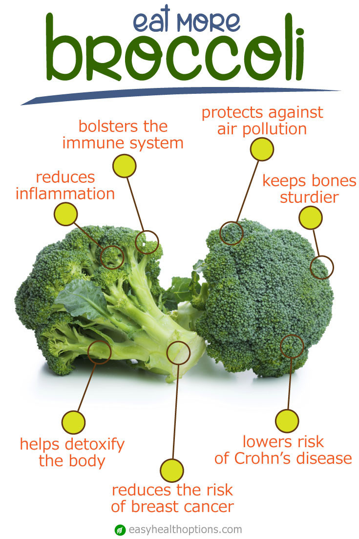 Does Broccoli Have Fiber Best Of the Best Ideas for Does Broccoli Have Fiber Best Recipes