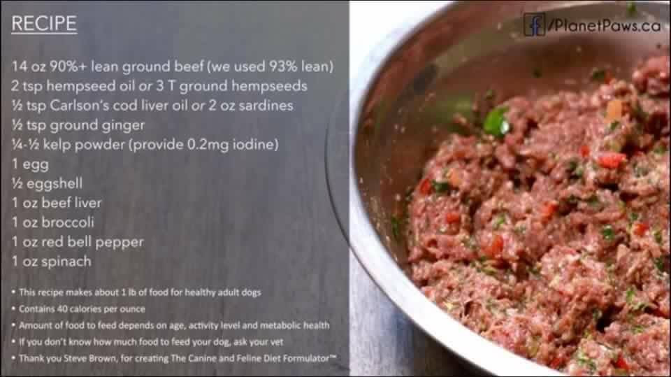 Dr Becker Raw Food Diet Inspirational 1 Dr Karen Becker Balance and Simple Dog Food Recipe