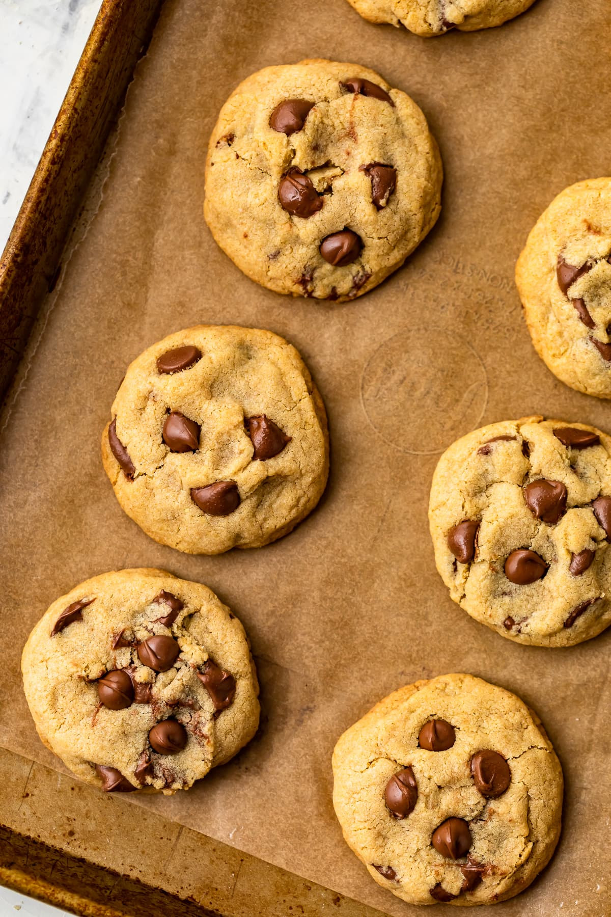 Gluten Free Cookie Recipes Unique Best Gluten Free Chocolate Chip Cookies Recipe – Cravings