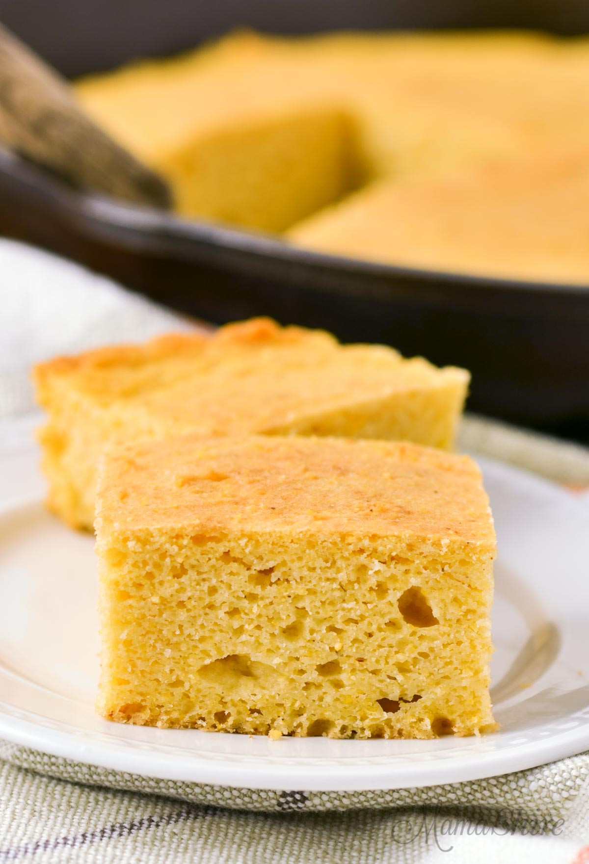 Gluten Free Corn Bread Recipe Luxury the Best Gluten Free Cornbread Recipe Dairy Free Mamashire