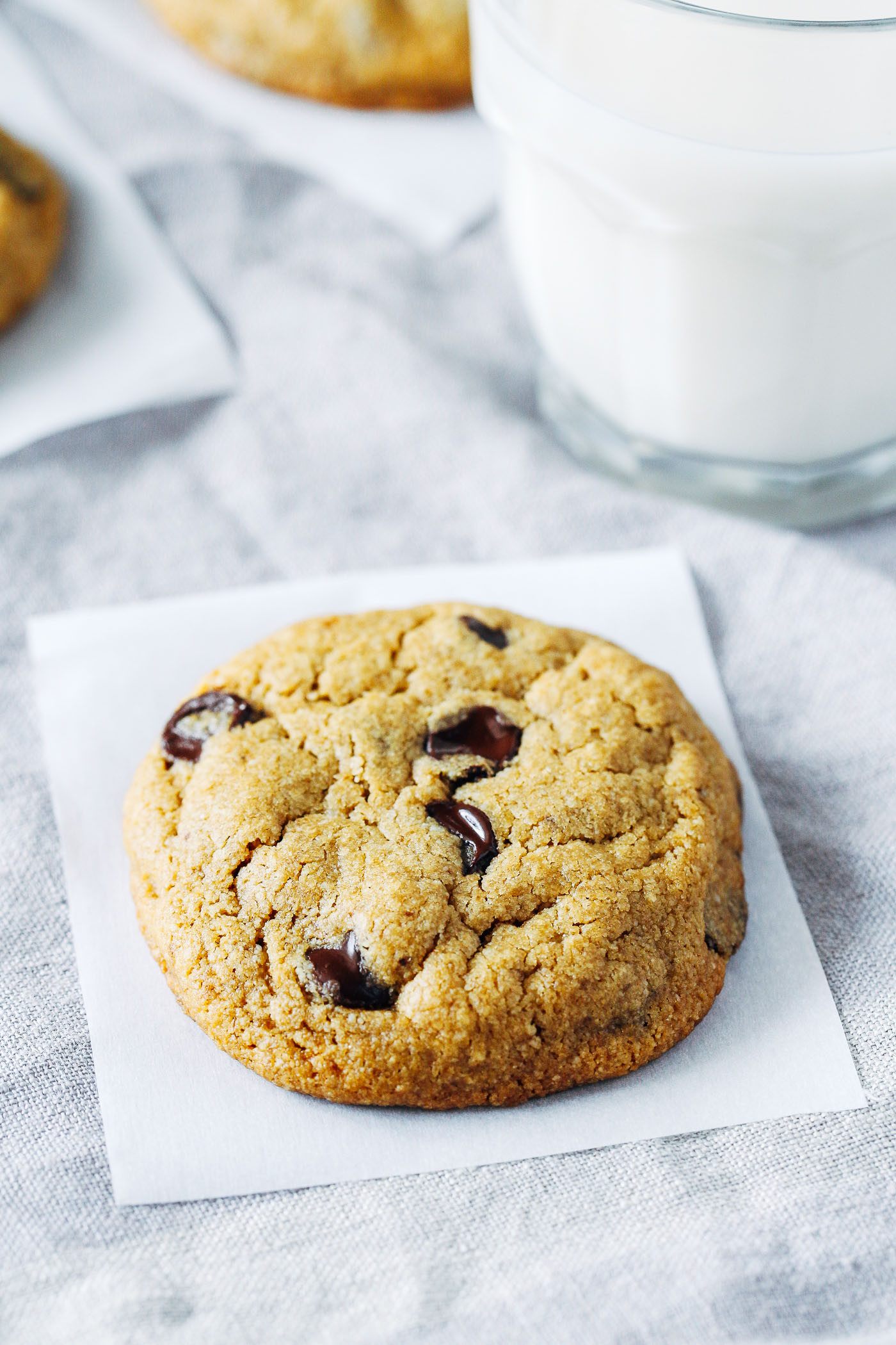 Gluten Free Dairy Free Cookie Recipes Awesome the Best Vegan and Gluten Free Chocolate Chip Cookies