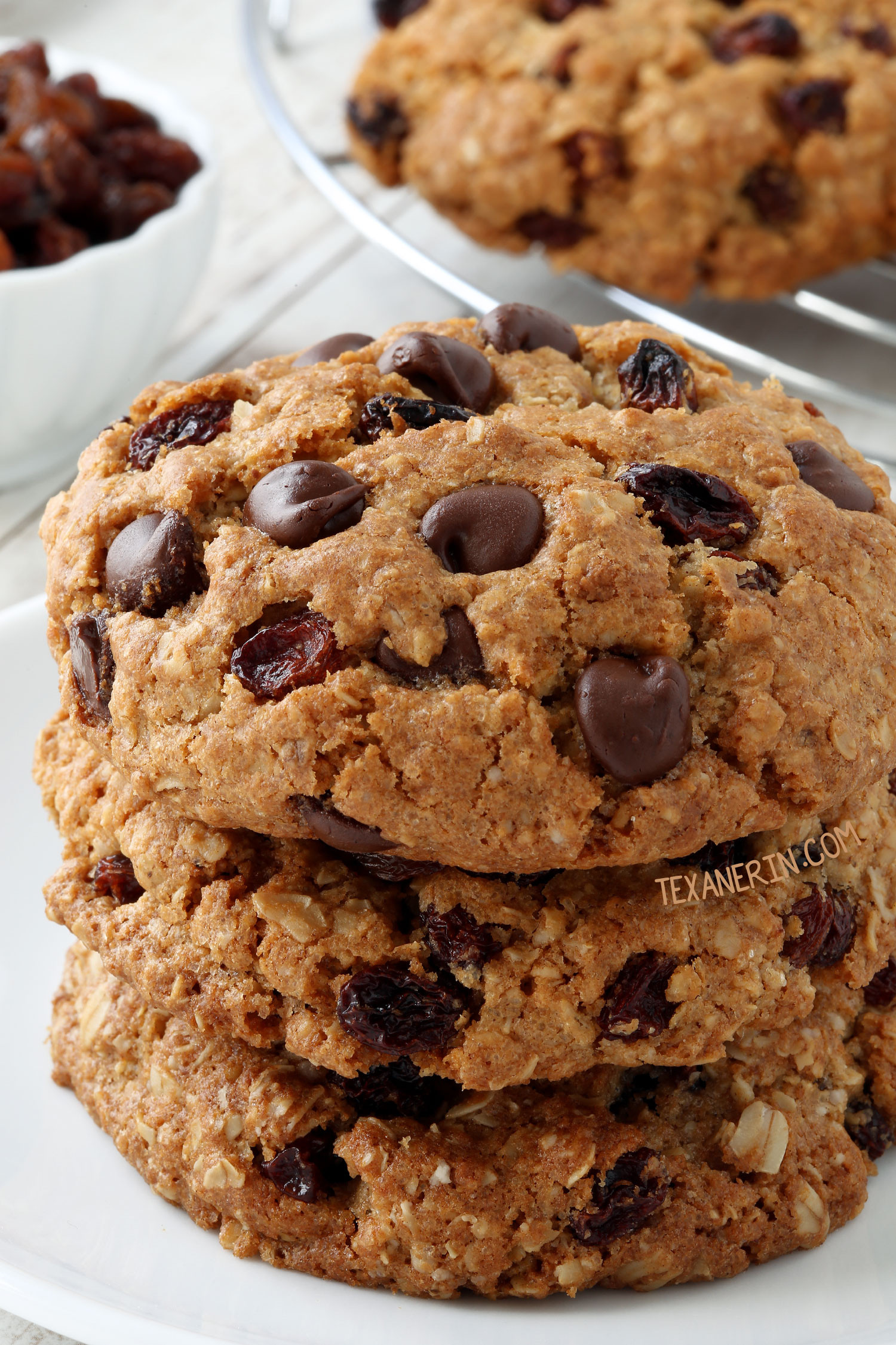 Gluten Free Oatmeal Cookie Recipes New 20 Gluten Free Cookies You Ll Want to Inhale Texanerin