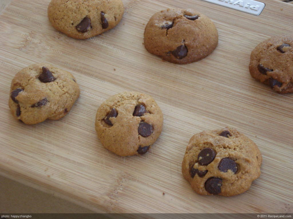 Low Calorie Chocolate Chip Cookies Recipes Best Of Low Calorie Low Fat Chocolate Chip Cookies Recipe