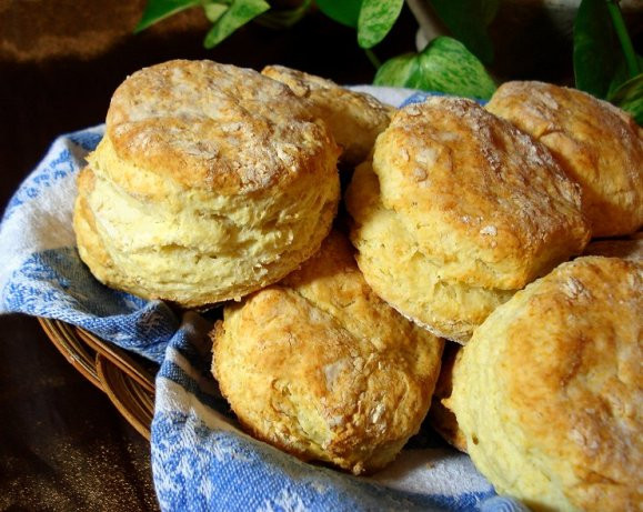Low Fat Biscuit Recipe Awesome Low Fat Biscuits Ww Recipe Food