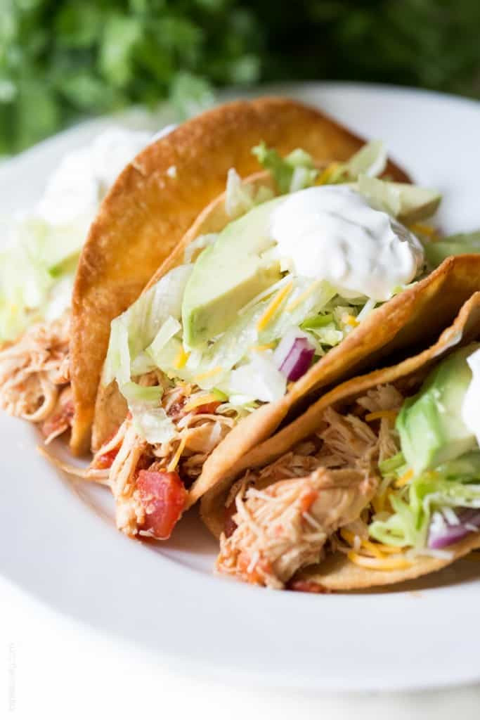 Mexican Shredded Chicken Tacos Elegant Slow Cooker Mexican Shredded Chicken Tacos — Tastes Lovely