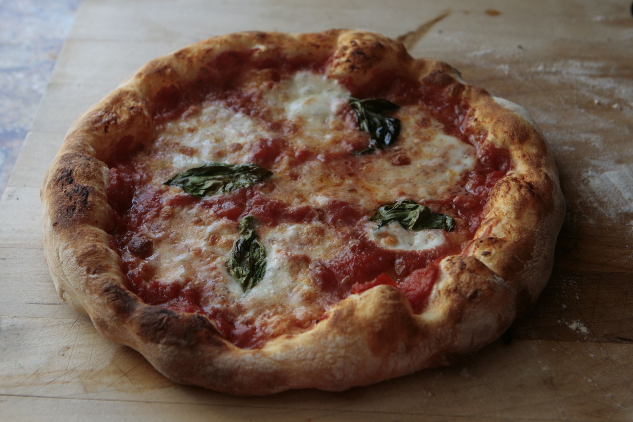 Neapolitan Pizza Dough Inspirational Neapolitan Pizza Dough Recipe
