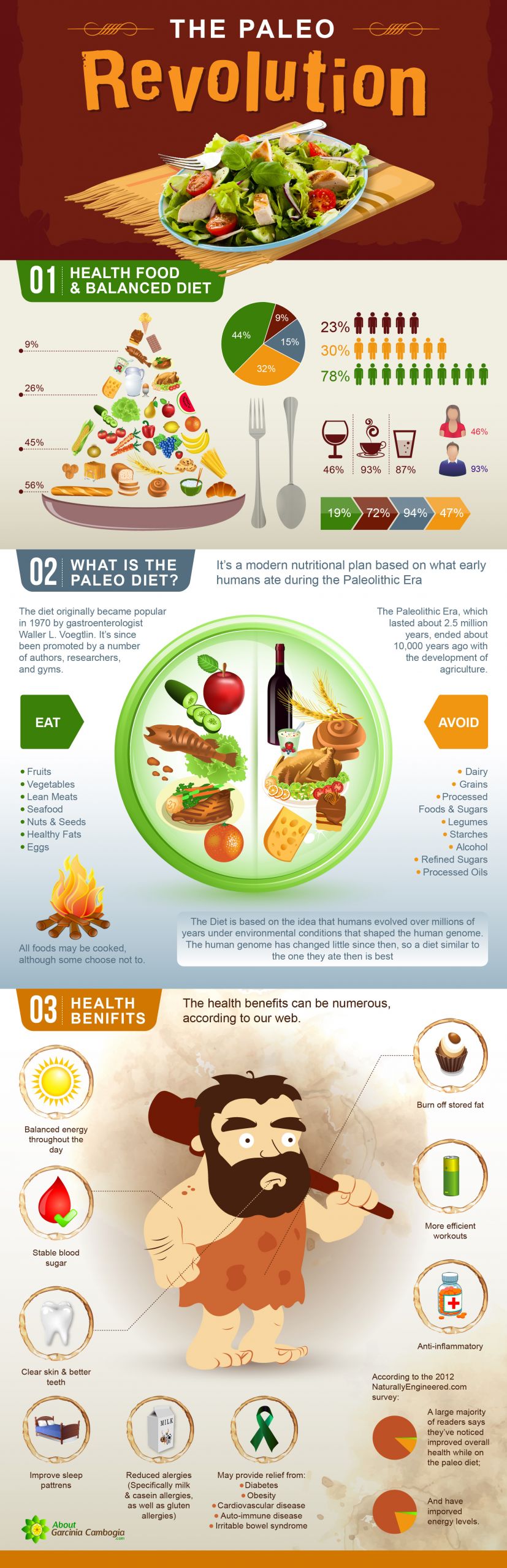 Paleo Diet Information Luxury Understanding the Paleo Diet Info Graphic