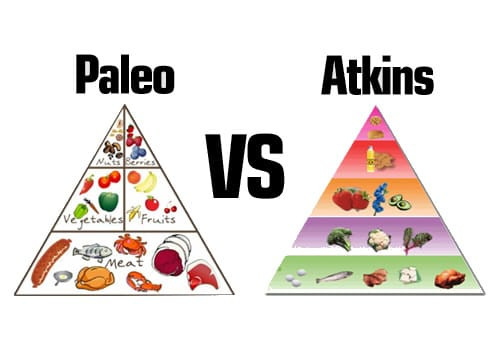 Paleo Diet Vs atkins Lovely Paleo Vs atkins Vs Low Carb who Wins Fitness Tips