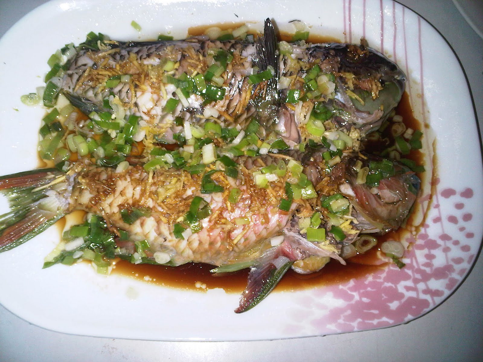 Parrot Fish Recipes Beautiful Mcnose Learns to Cook Steamed Parrot Fish