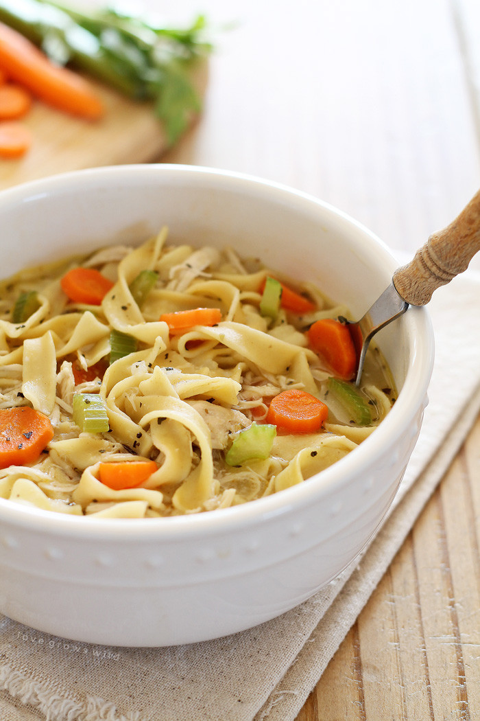 Quick Chicken Noodle soup Fresh Quick and Easy Chicken Noodle soup Love Grows Wild