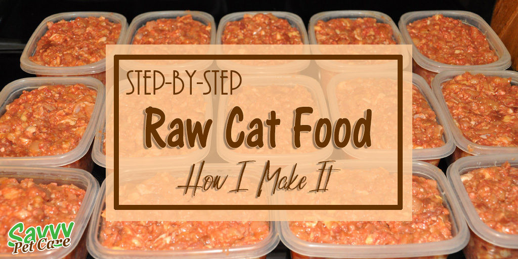 Raw Food Diet for Cats Fresh Raw Cat Food How to Make Raw Cat Food Savvy Pet Care