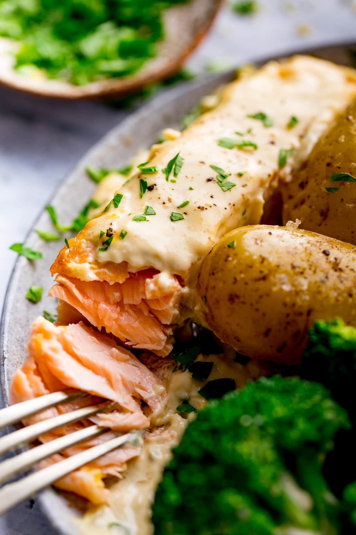 Salmon Recipes with Sauces Best Of Easy Salmon Recipe with Creamy White Wine Sauce Nicky S