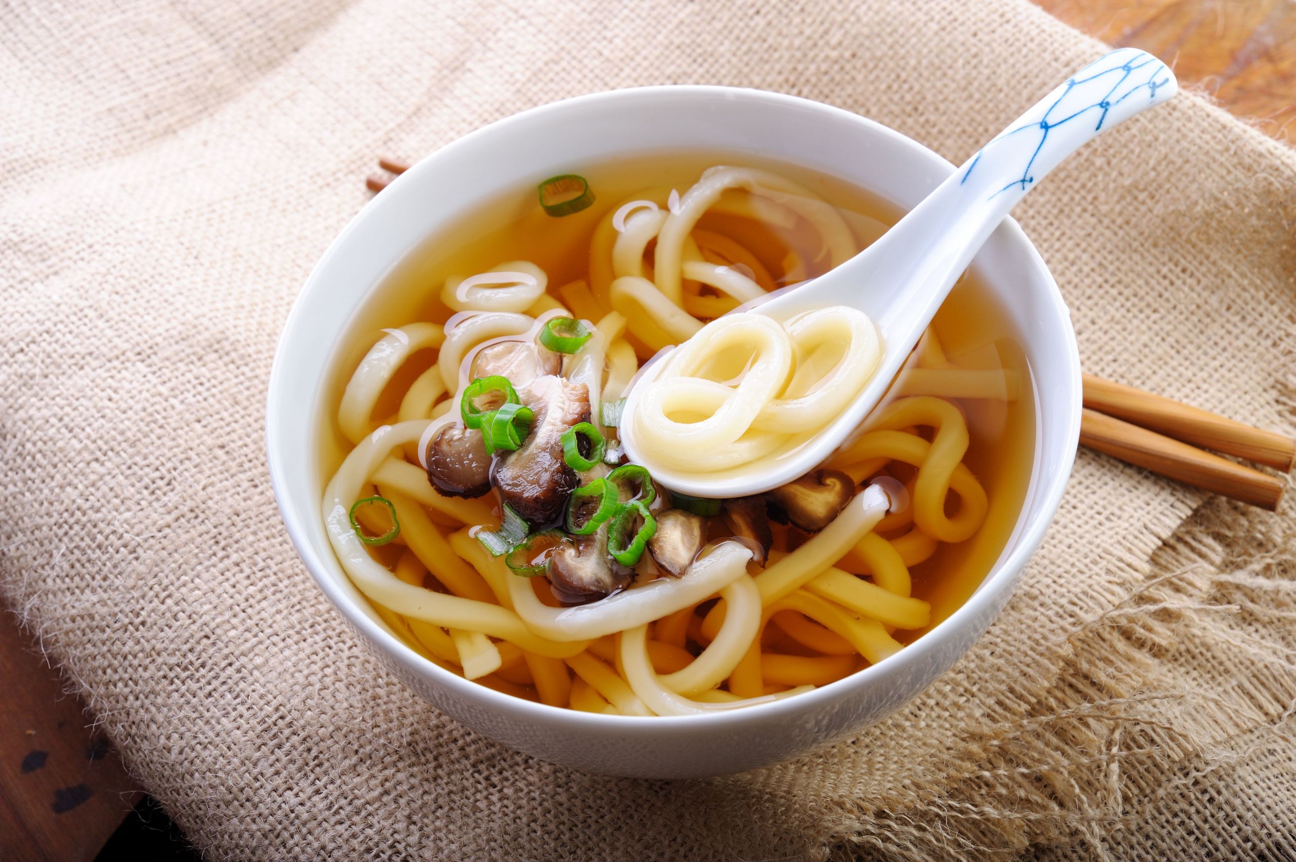 Udon Noodles soup Awesome Ve Arian Japanese Udon Noodle soup Recipe