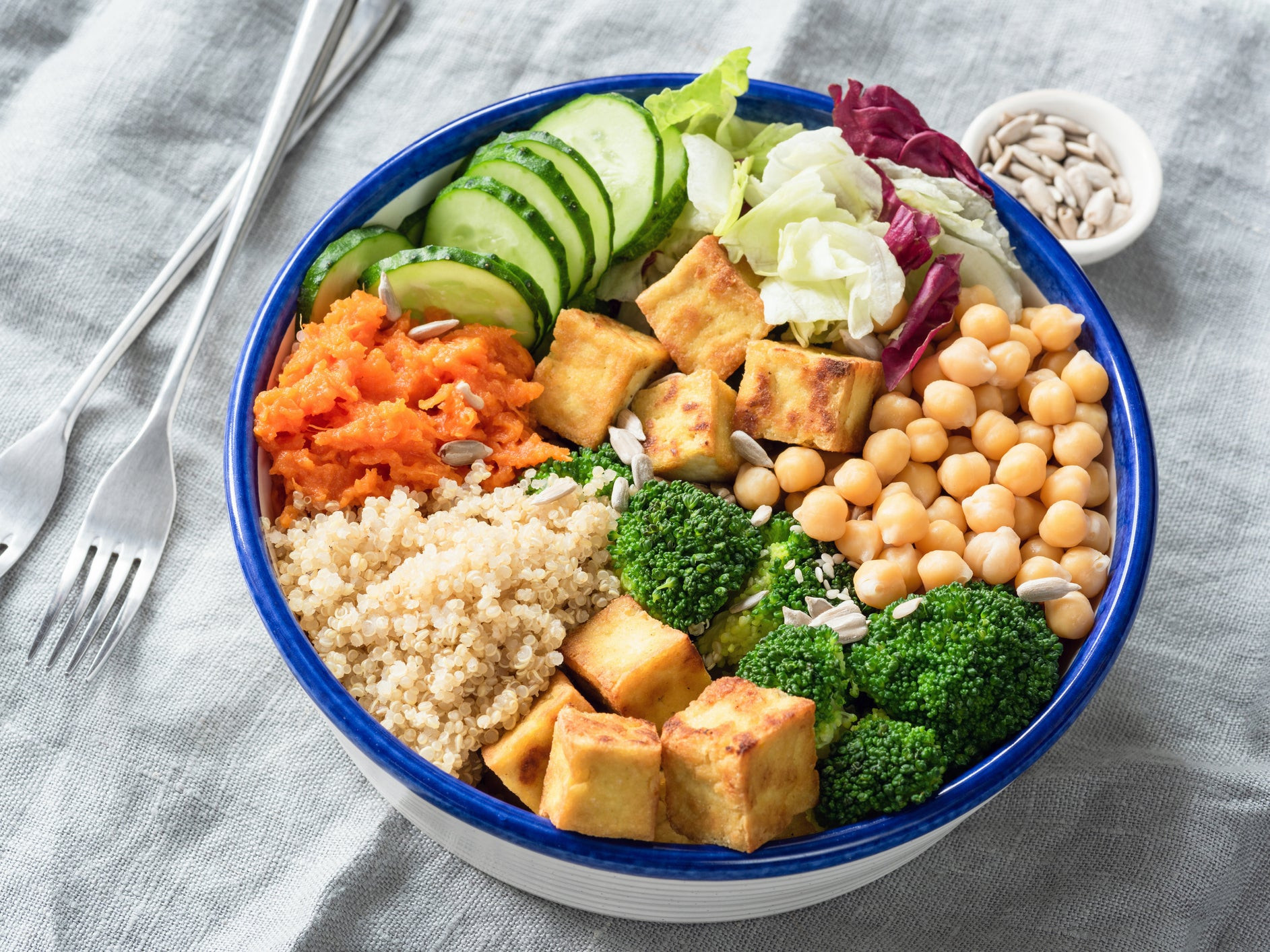 Vegetarian Food High In Protein Beautiful High Protein Ve Arian Diet Plan – Vedic Paths